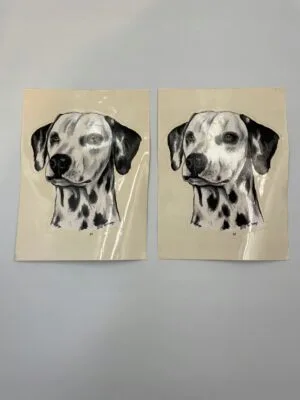 15765913624