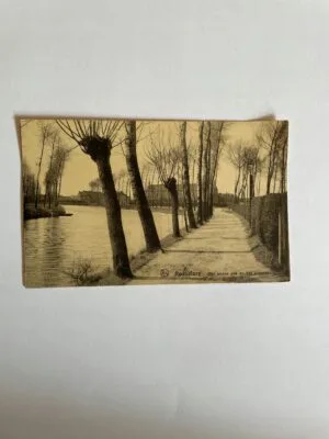 16188597423