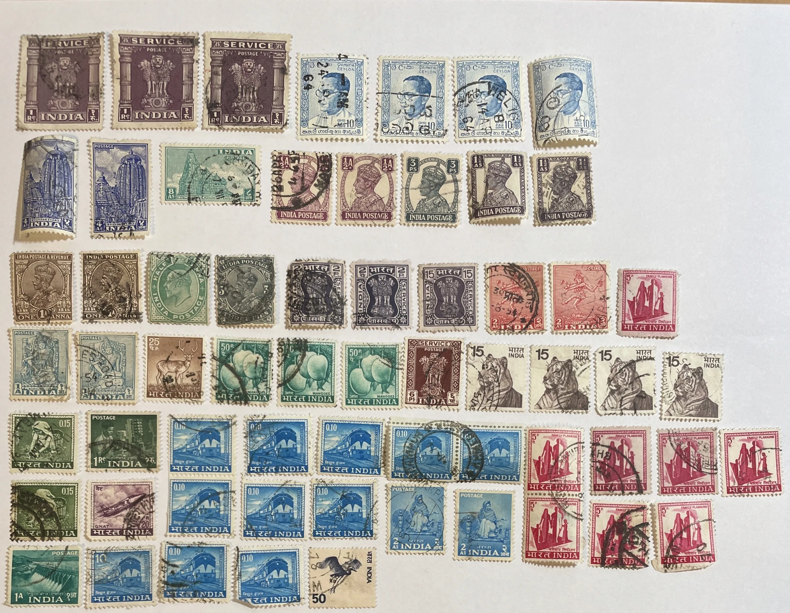 17562959841