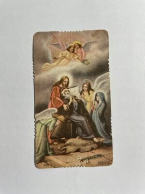 17650219902