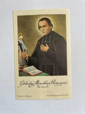 17650263586